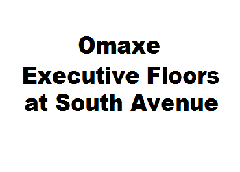Omaxe Executive Floors at South Avenue